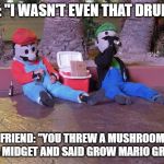 mario and luigi drunk | ME: "I WASN'T EVEN THAT DRUNK"; FRIEND: "YOU THREW A MUSHROOM AT A MIDGET AND SAID GROW MARIO GROW" | image tagged in mario and luigi drunk | made w/ Imgflip meme maker