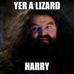 hagrid yer a wizard | YER A LIZARD; HARRY | image tagged in hagrid yer a wizard | made w/ Imgflip meme maker