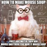 Science Cat | HOW TO MAKE MOUSE SOUP; FIRST ADD WATER THEN ADD MOUSE AND THERE YOU HAVE IT MOUSE SOUP | image tagged in science cat | made w/ Imgflip meme maker