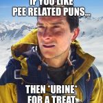 Bear Grylls | IF YOU LIKE PEE RELATED PUNS... THEN *URINE* FOR A TREAT | image tagged in memes,bear grylls | made w/ Imgflip meme maker