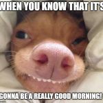 good morning | WHEN YOU KNOW THAT IT'S; GONNA BE A REALLY GOOD MORNING! | image tagged in good morning | made w/ Imgflip meme maker