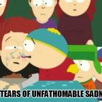 Cartman tears | THE TEARS OF UNFATHOMABLE SADNESS | image tagged in cartman tears | made w/ Imgflip meme maker