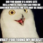 O RLY? | DID YOU KNOW IF A NEWS SITE HAS A PHOTO THAT YOU CAN FIND ON ANOTHER WEBSITE THE SITE MAY BE FAKE? WHAT! YOU FOUND MY WEBSITE | image tagged in o rly | made w/ Imgflip meme maker