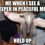 Anteater - I Got This | ME WHEN I SEE A CREEPER IN PEACEFUL MODE; HOLD UP | image tagged in anteater - i got this | made w/ Imgflip meme maker