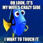 dory | OH LOOK, IT’S MY WIFE’S CRAZY SIDE; I WANT TO TOUCH IT | image tagged in dory | made w/ Imgflip meme maker