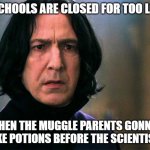Homeschooling | IF SCHOOLS ARE CLOSED FOR TOO LONG; THEN THE MUGGLE PARENTS GONNA MAKE POTIONS BEFORE THE SCIENTISTS! | image tagged in school closing,pandemic,parents | made w/ Imgflip meme maker