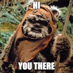 Ewok | HI; YOU THERE | image tagged in ewok | made w/ Imgflip meme maker