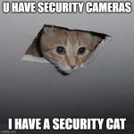 Ceiling Cat | U HAVE SECURITY CAMERAS; I HAVE A SECURITY CAT | image tagged in memes,ceiling cat | made w/ Imgflip meme maker