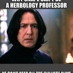 only HP fans will understand lol | WHY SNAPE CAN'T BE A HERBOLOGY PROFESSOR; HE CAN'T KEEP ALL THE "LILLIES" ALIVE | image tagged in snape always,harry potter,hogwarts,fishing for upvotes | made w/ Imgflip meme maker