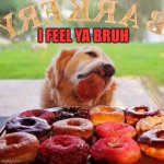 Dog Donuts | I FEEL YA BRUH | image tagged in dog donuts | made w/ Imgflip meme maker
