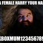 yer a female harry | YOUR A FEMALE HARRY YOUR NAME IS... XBOXMUM123456789 | image tagged in hagrid yer a wizard | made w/ Imgflip meme maker