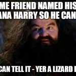 yer a lizard harry! | ME FRIEND NAMED HIS IGUANA HARRY SO HE CAN SAY; SO HE CAN TELL IT - YER A LIZARD HARRY! | image tagged in hagrid yer a wizard | made w/ Imgflip meme maker