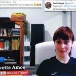 Dildo Meme Generator Imgflip