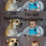 Dad Joke Dog 2 | HEARD 1/3 PEOPLE ARE HANDSOME; I'm not handsome; I'm not either | image tagged in dad joke dog 2 | made w/ Imgflip meme maker
