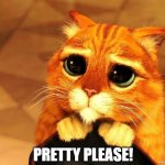 PussInBoots | PRETTY PLEASE! | image tagged in puss in boots shrek cat begging,cat,please | made w/ Imgflip meme maker