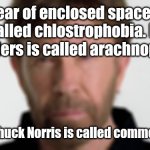 I originally made this on my brother account so don't say it's a repost | Fear of enclosed spaces 
is called chlostrophobia. Fear of spiders is called arachnophobia; Fear of Chuck Norris is called common sense. | image tagged in chuck norris | made w/ Imgflip meme maker
