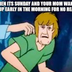 Shaggy meme | WHEN ITS SUNDAY AND YOUR MOM WAKES YOU UP EARLY IN THE MORNING FOR NO REASON | image tagged in shaggy meme | made w/ Imgflip meme maker