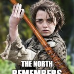The North Remembers | THE NORTH; REMEMBERS | image tagged in the north remembers,twduniverse,got,arya stark,lucille,negan and lucille | made w/ Imgflip meme maker