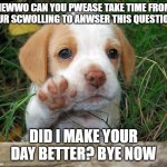 Did I? | HEWWO CAN YOU PWEASE TAKE TIME FROM YOUR SCWOLLING TO ANWSER THIS QUESTION? DID I MAKE YOUR DAY BETTER? BYE NOW | image tagged in dog puppy bye,imgflip | made w/ Imgflip meme maker