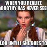 Really, this is S.H.O.C.K.I.N.G. | WHEN YOU REALIZE DOROTHY HAS NEVER SEEN; COLOR UNTILL SHE GOES TO OZ | image tagged in dorothy | made w/ Imgflip meme maker