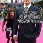 It usually ens in a band-aid moment... | MY CAT SLEEPING PEACEFULLY; ME | image tagged in jason momoa henry cavill meme | made w/ Imgflip meme maker