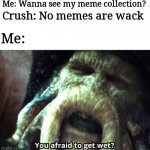 Hehe...wish me luck bois. | Me: Wanna see my meme collection? Crush: No memes are wack; Me: | image tagged in afraid to get wet | made w/ Imgflip meme maker
