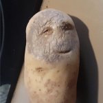 Sick Potato template