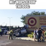Target car crash | ME:*MOPS FLOOR*
THE DOG: | image tagged in target car crash | made w/ Imgflip meme maker