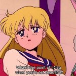 Sailor Moon What’s the point of living meme