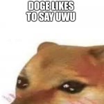 uwu :) | ROSES ARE RED, IRON MAN KNOWS WHAT HE MUST DO, DOGE LIKES TO SAY UWU | image tagged in uwu cheems lucidream,memes,fun,funny,uwu,owo | made w/ Imgflip meme maker