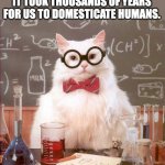 Evolution of whom? | IN EVOLUTIONAL HISTORY, IT TOOK THOUSANDS OF YEARS FOR US TO DOMESTICATE HUMANS. | image tagged in science cat | made w/ Imgflip meme maker