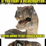 Bad Pun Velociraptor | IF YOU FIGHT A VELOCIRAPTOR; YOU'RE GOING TO GET JURASS KICKED | image tagged in bad pun velociraptor | made w/ Imgflip meme maker