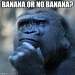 idk | BANANA OR NO BANANA? | image tagged in thinking ape | made w/ Imgflip meme maker