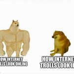 internet trolls | HOW INTERNET TROLLS LOOK ONLINE; HOW INTERNET TROLLS LOOK IRL | image tagged in strong dog vs weak dog | made w/ Imgflip meme maker