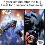 NOOOOOOO | 5 year old me after the bug I met for 5 seconds flies away: | image tagged in funny,memes,batman don't leave me | made w/ Imgflip meme maker