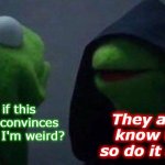 kermit me to me | They already know that... so do it anyway; What if this idea just convinces them that I'm weird? | image tagged in kermit me to me | made w/ Imgflip meme maker