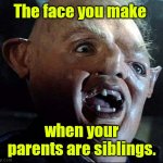 Rocky roads. | The face you make; when your parents are siblings. | image tagged in sloth goonies,funny | made w/ Imgflip meme maker