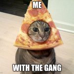 pizza cat | ME; WITH THE GANG | image tagged in pizza cat | made w/ Imgflip meme maker