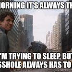 Hulk | EVERY MORNING IT'S ALWAYS THE SAME. I'M TRYING TO SLEEP, BUT SOME ASSHOLE ALWAYS HAS TO BE LOUD | image tagged in hulk | made w/ Imgflip meme maker