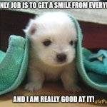 harvesting smiles | MY ONLY JOB IS TO GET A SMILE FROM EVERYBODY; AND I AM REALLY GOOD AT IT! | image tagged in cute puppy | made w/ Imgflip meme maker