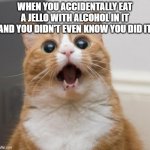 I was pretty scared there for a bit - not doing that ever again ugh | WHEN YOU ACCIDENTALLY EAT A JELLO WITH ALCOHOL IN IT AND YOU DIDN'T EVEN KNOW YOU DID IT | image tagged in scared cat,memes,relatable,cats,alcohol,scary | made w/ Imgflip meme maker