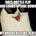 Bottle flip (I watch too much monster school) | DOES BOTTLE FLIP AND LANDS UPSIDE DOWN; MY BRO BE ALL LIKE: O RLY | image tagged in o rly | made w/ Imgflip meme maker