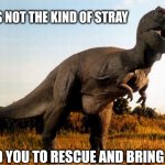 dinosaur | THIS IS NOT THE KIND OF STRAY; I TOLD YOU TO RESCUE AND BRING HOME! | image tagged in dinosaur | made w/ Imgflip meme maker