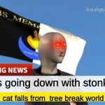 news be like | stonks going down with stonks; cat falls from  tree break world | image tagged in msmg news | made w/ Imgflip meme maker