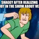 SHAGGY is not impressed | SHAGGY AFTER REALIZING HE NOT IN THE SHOW ABOUT VELMA | image tagged in shaggy meme | made w/ Imgflip meme maker