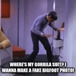 gorilla | WHERE'S MY GORRILA SUIT? I WANNA MAKE A FAKE BIGFOOT PHOTO! | image tagged in gifs,monkey | made w/ Imgflip video-to-gif maker