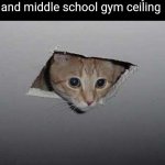 Ceiling Cat | The balls on the elementary and middle school gym ceiling | image tagged in memes,ceiling cat | made w/ Imgflip meme maker
