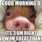 I’m dying inside :D | GOOD MORNING:D; ITS 3 AM RIGHT NOW IM GREAT THANKS | image tagged in good morning,lol so funny | made w/ Imgflip meme maker