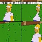 HOMER BUSH | JOB AD SED THEY'RE LOOKING FOR EMERGING MANAGERS | image tagged in homer bush | made w/ Imgflip meme maker