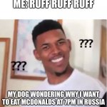 lollllllllll | ME: RUFF RUFF RUFF; MY DOG WONDERING WHY I WANT TO EAT MCDONALDS AT 7PM IN RUSSIA | image tagged in nick young,memes,dies from cringe | made w/ Imgflip meme maker